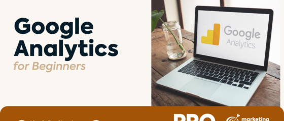 Google Analytics Workshop - Learn to analyze metrics and optimise marketing campaigns